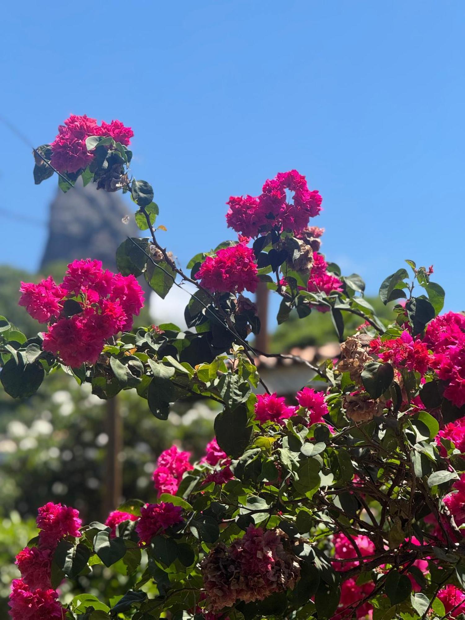 Pousada Rosemary Suites Fernando de Noronha Eksteriør billede